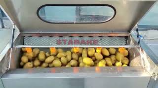 Potato peeling washing machine