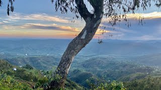 Silverback safari in Rwanda part A; gorillas in the mist