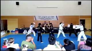 [Howick Taekwondo] Demonstration at Grading Test (07.12.13)