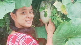 aaj ka din bhut bura tha 😭😭//dailyvlog || Kumaoni vlog || pahadi lifestyle ☺️