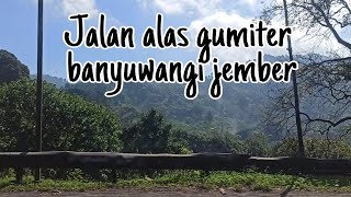 Perjalanan Banyuwangi-Jember  Lewat Gumiter