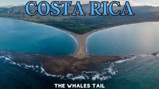 Costa Rica Travel - Best places to visit -The WHALES TAIL | Survival style {catch, clean and eat}