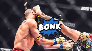 Funny MMA Knockouts