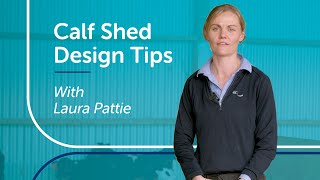 Calf Shed Design Tips | PGG Wrightson Tech Tips