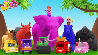 Animals Dance Song - Learns Colors with Animals and Cars - Jicoco Nursery Rhymes & Kids Songs