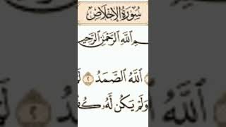 سورة الإخلاص بصوت الشيخ ماهر المعيقلي  #القلوب_لله خلق الكون#لاتنسوا_الاشتراك_في_القناة_وتفعيل_الجرس