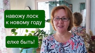 Навожу лоск в доме к НГ/ Елке быть/ Ночная прогулка/ Деревенские будни/ Нескучная жизнь в деревне