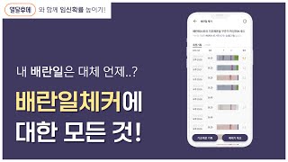 [열달후에 임신준비] 배란일 체커에 관한 모든것! | 배란일계산 | 임신확률 높이는 법