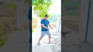 आवो ना छान के पिया दी साडी से ताड़ी#short #video #viral #jharkhand #youtube