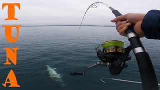 BLUEFIN TUNA SPINNING - DAIWA BG 8000 Ulcinj-Montenegro