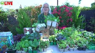 How To Grow Winter Veggies Gardening Class // Green Thumb Nursery