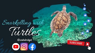 MALDIVES - BAA ATOLL - REETHI BEACH - SNORKELLING WITH TURTLES