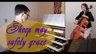 J. S. Bach, Sheep May Safely Graze (BWV 208), organ & cello