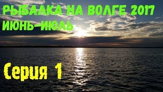 Поездка в Астраханскую область в июне-июле. Рыбалка на Волге 2017: серия 1