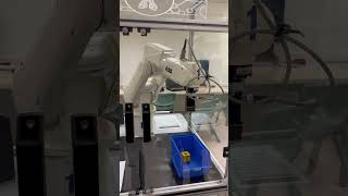 Pick & Place test using ABB industrial Robotic Arm