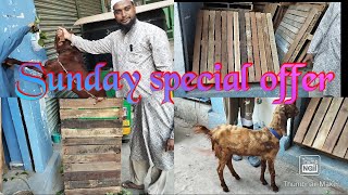 Wooden Pallets | Bakriyo ke Chowki | Ajmera Sirohi Bakri | Shalibanda Near Asra Hospital | Hyderabad