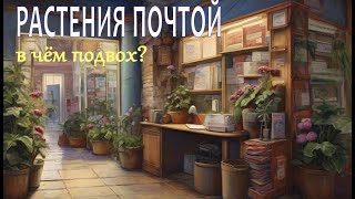 Заказ растений почтой. Почему вы до сих пор этого боитесь?