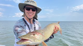 Musky Catch and Cook!?! Musky Fishing on Lake St. Clair! (Catch Clean and Cook)