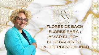 * FLORES DE BACH PARA: PARA AMAR EL HOY- DESALIENTO, HIPERENSIBILIDAD