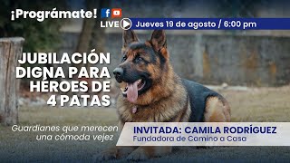 🔺️Adopta un peludo y brinda una nueva oportunidad🔺️ #unaconversacionde4patas