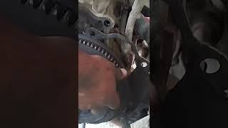 How to Remove clutch bade sound  clutch pressure plate install pic down #car#viral#fyp #autom#shorts