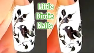 Hand Painted Little Birdie Nails | Bird on your Nails | Birds Nail Art