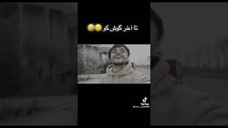 #تیک_تاک گوسفند گپ میزنه 😂😂 #shorts #comedy #tiktok