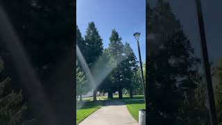 KASEBERG PARK || ROSEVILLE, CALIFORNIA || MEET PEARL (BIKE) || SUMMER 2023