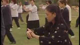 Master Wang Fu Lai Taichi demonstration - טאי צ'י