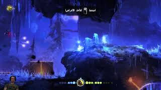 لعبة Ori and the Blind Forest أضخم وأعمق مما تبدو عليه، وهي مصممة �