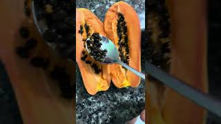 Growing papaya, the best way to have a fruit-bearing papaya tree