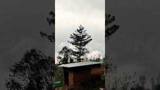 raining in Murree Bhurban #explore #nature