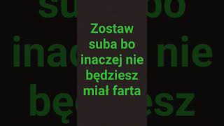 Zostaw suba #shorts