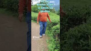 My own brother in law in Sikkim tea gardens