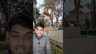 जानिए नल मैं पानी कहा से आ रहा..जादू 🤔🤔 #shorts #youtubeshorts #viral #viralshorts #trending #short