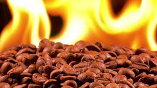 Coffee Beans Free Background Video, Royalty Free Videos & Motion Graphics For Content Creators