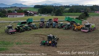 🌽MAIS🌽 Silage für Biogas | 2 Raubkatzen auf Hektar Jagd