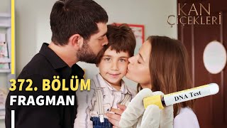 Kan Çiçekleri 372. Bölüm Fragmanı «Mutlu Aile Tablosu» Vendetta Episode 372 Promo