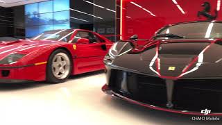 Detailing some of the finest ferrari collection in south Florida #garage26