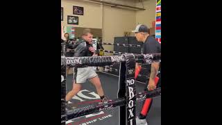 Canelo Alvarez INTENSE training for Caleb Plant #Shorts