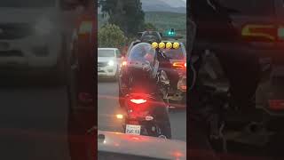 Pincher viajando na mochila de motoqueiro , com aquele jeitinho 99% ódio