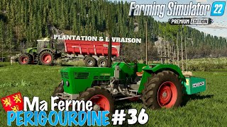 🟢 PLANTATION de SAPIN & LIVRAISON de TOURNESOL 💶 - MA FERME PERIGOURDINE #36