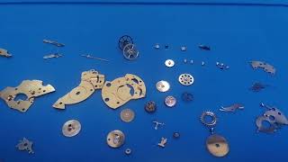 Rado Diastar Swiss made watch movement service