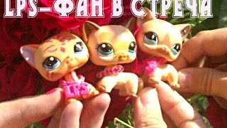 LPS-Фан в стреча с FashiongirlLPS и c CoolgirlLPS в Саласпилсе