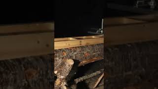 Using an Alaskan chainsaw mill #chainsaw