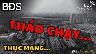 Bỏ chạy thục mạng vì bất động sản, người thì tìm BĐS để mua không được | BĐS Thường Ngày