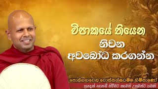 විපාකයේ තියෙන නිවන අවබෝධ කරගන්න #ven.Polgahawela Wossagghadhamma thero#dharmayai obai#pahura #bana