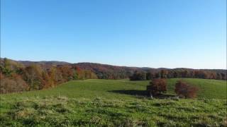 Roll In My Sweet Baby's Arms - Fred Cockerham and his Virginia Carolina Ramblers