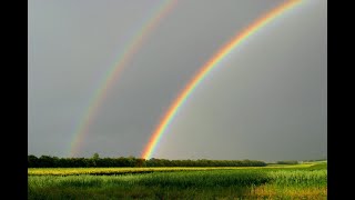 Gottesdienst am 2. Juni 2024 um 10.00 Uhr aus der evang. Kirche Dossenheim