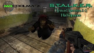 S.T.A.L.K.E.R. Путь в Припять. Часть 1-1. Кордон. Встреча с одиночками.